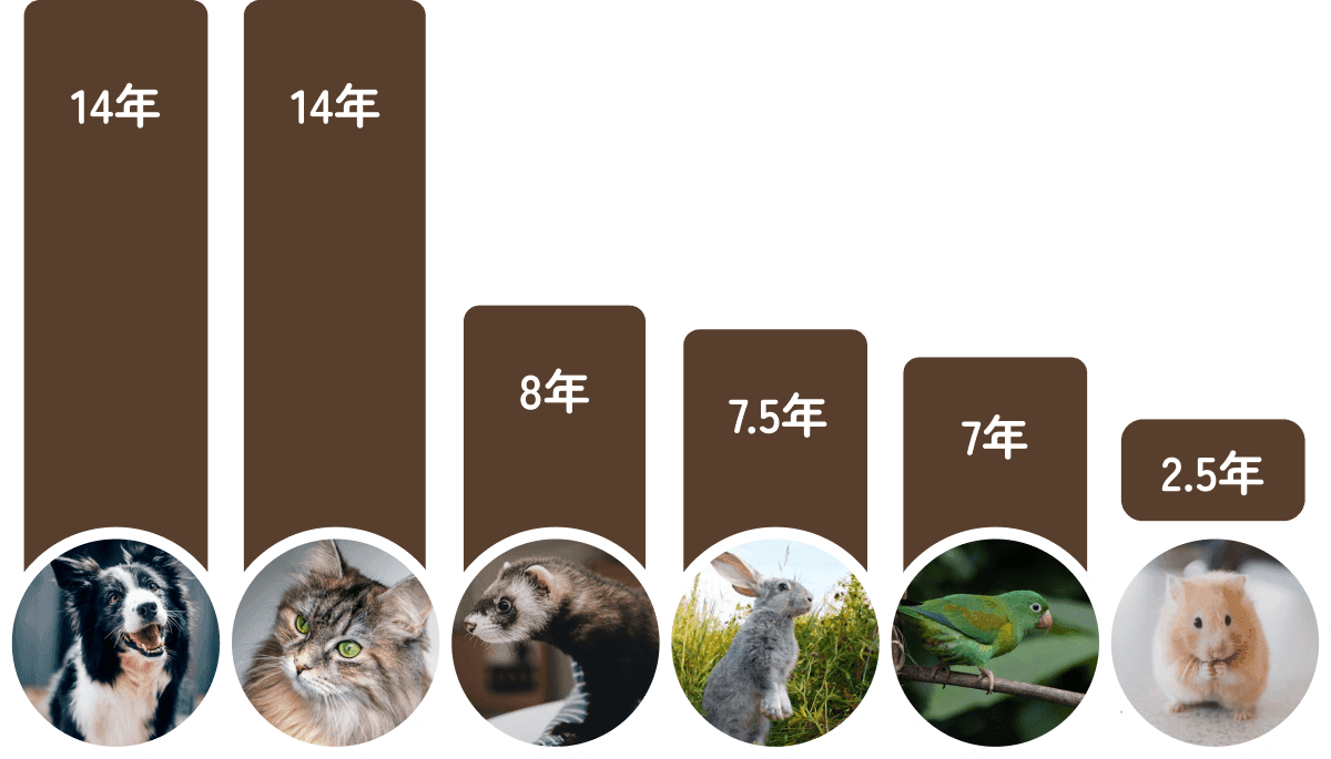 animal age graph